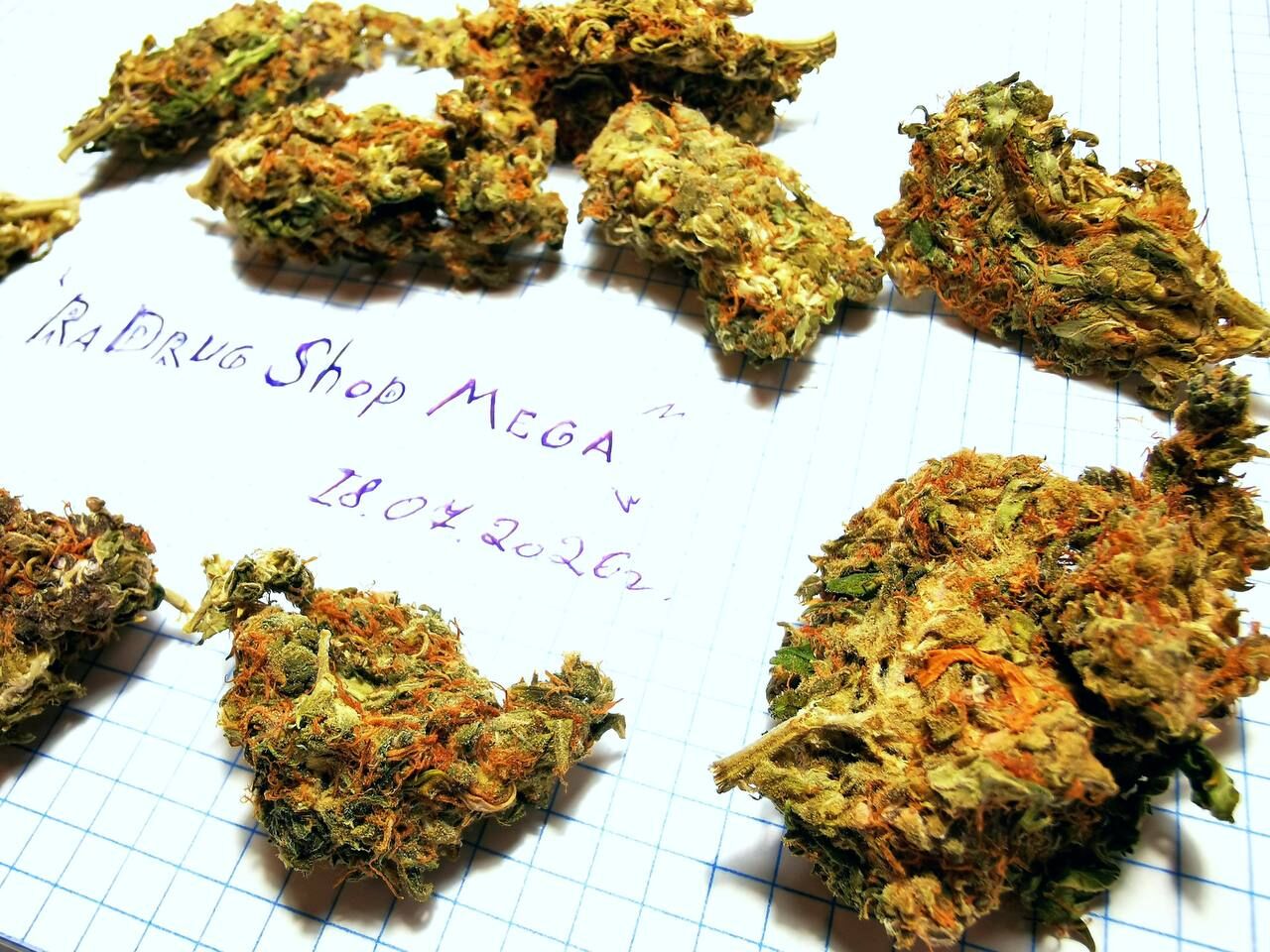 HYDROPONICS VHQ