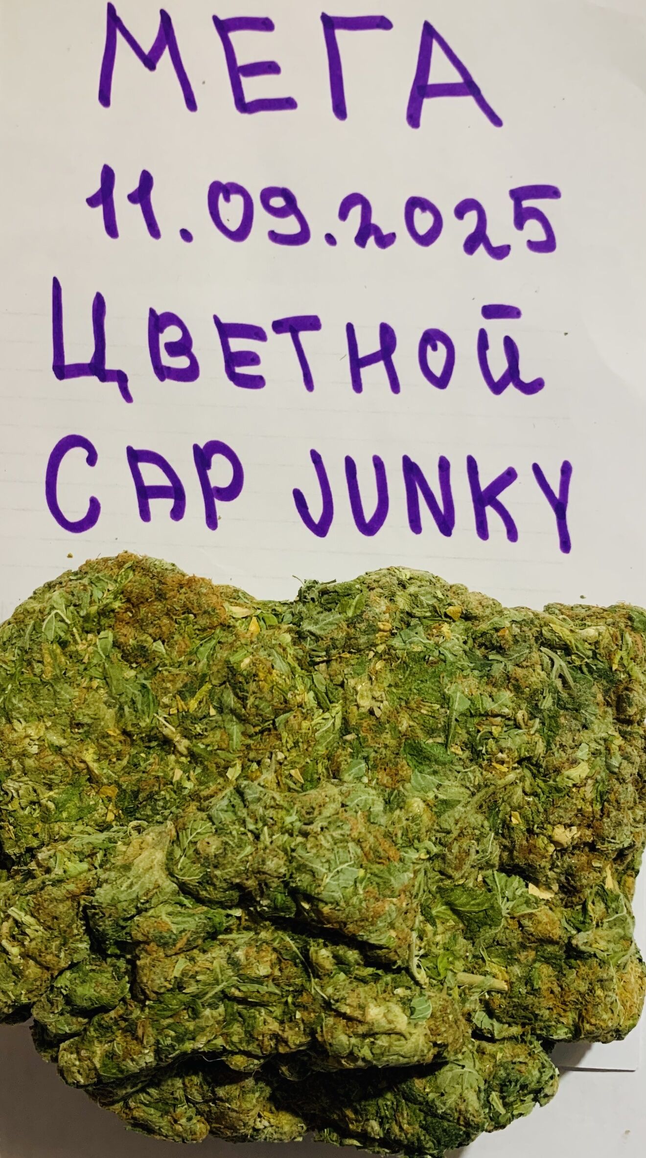 CAP JUNKY | ⭐ -15% ⭐