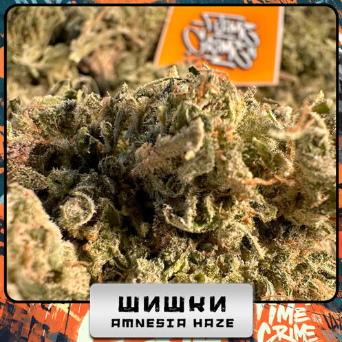 Шишки Amnesia XL