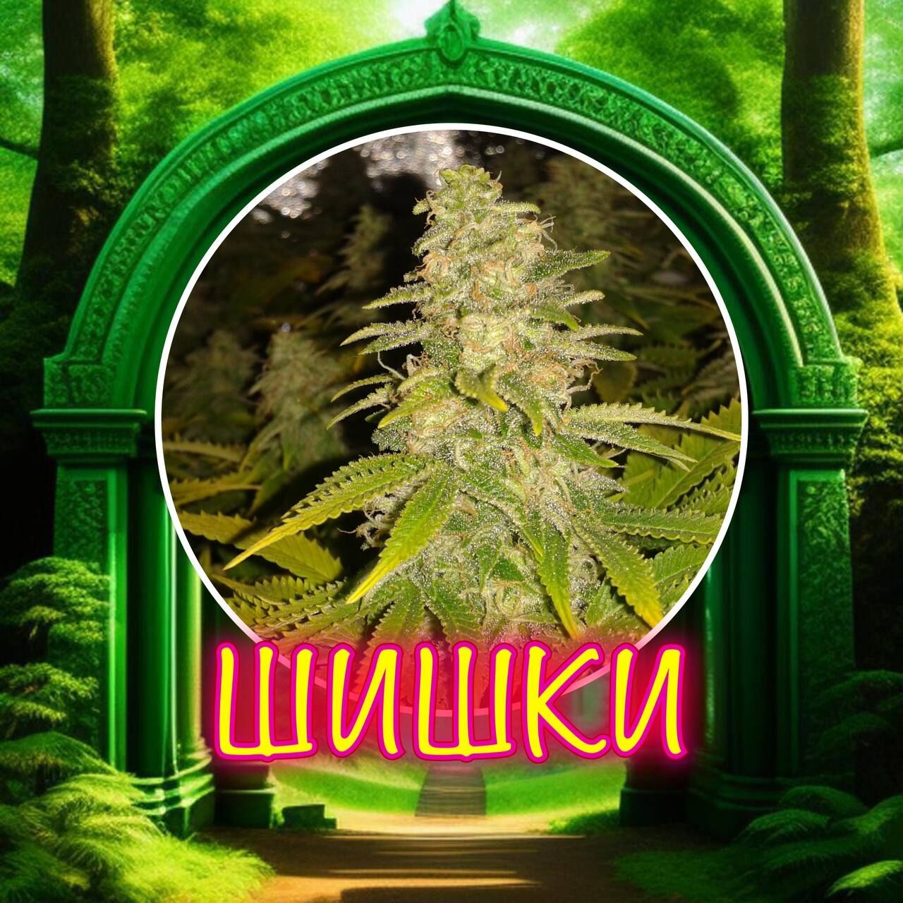 Шишки