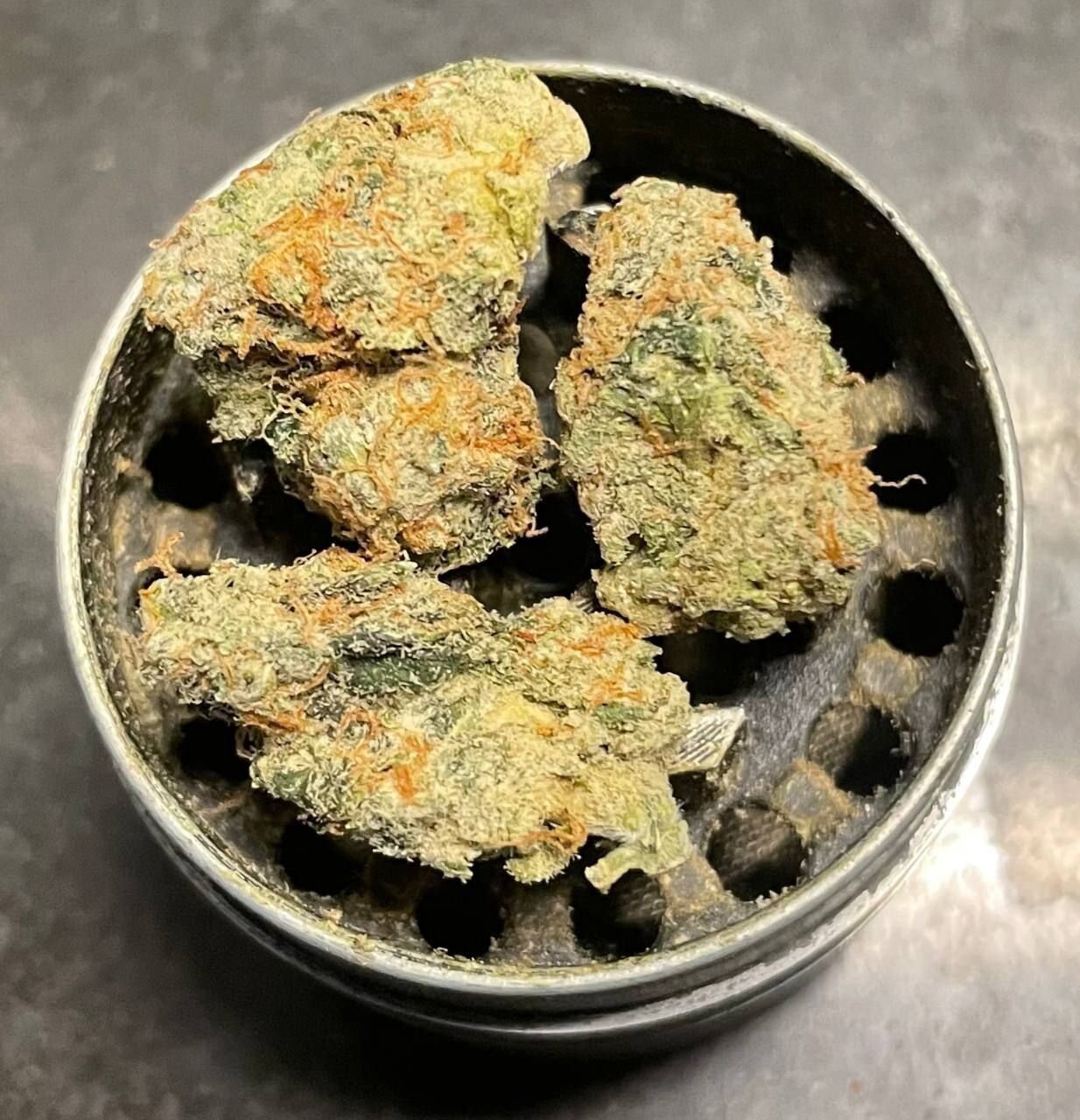 Local KZ