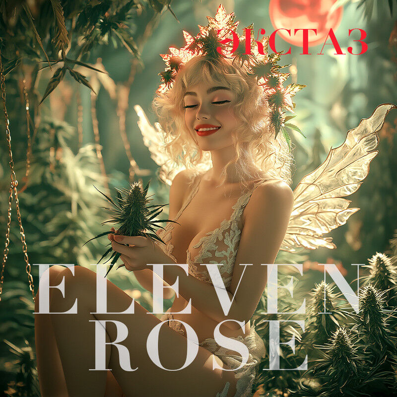 Бошка Eleven Rose