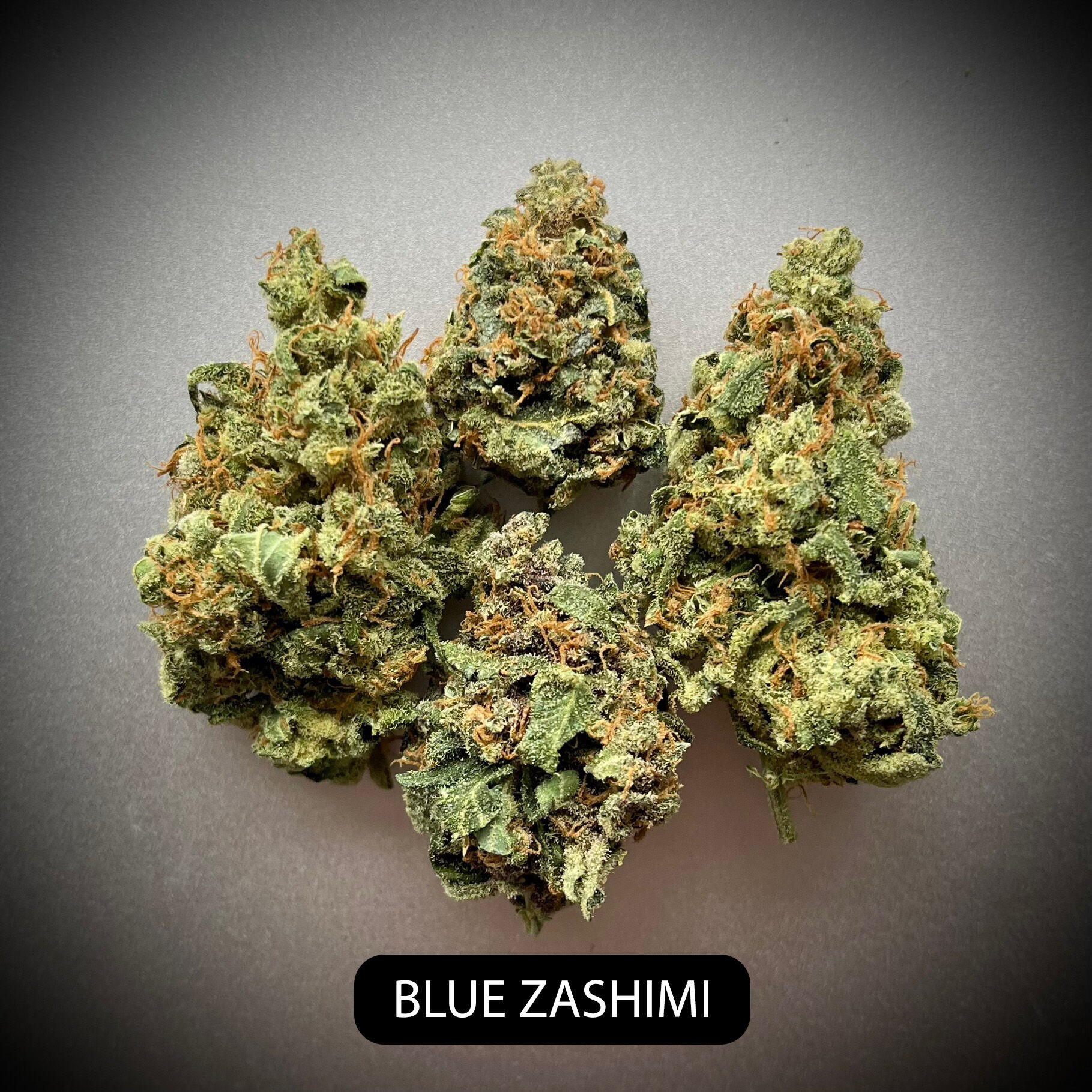 ★ Blue Zashimi ★