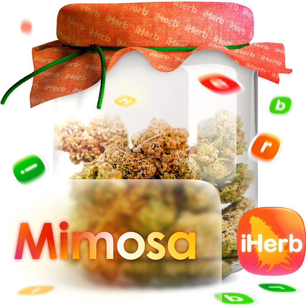 Mimosa