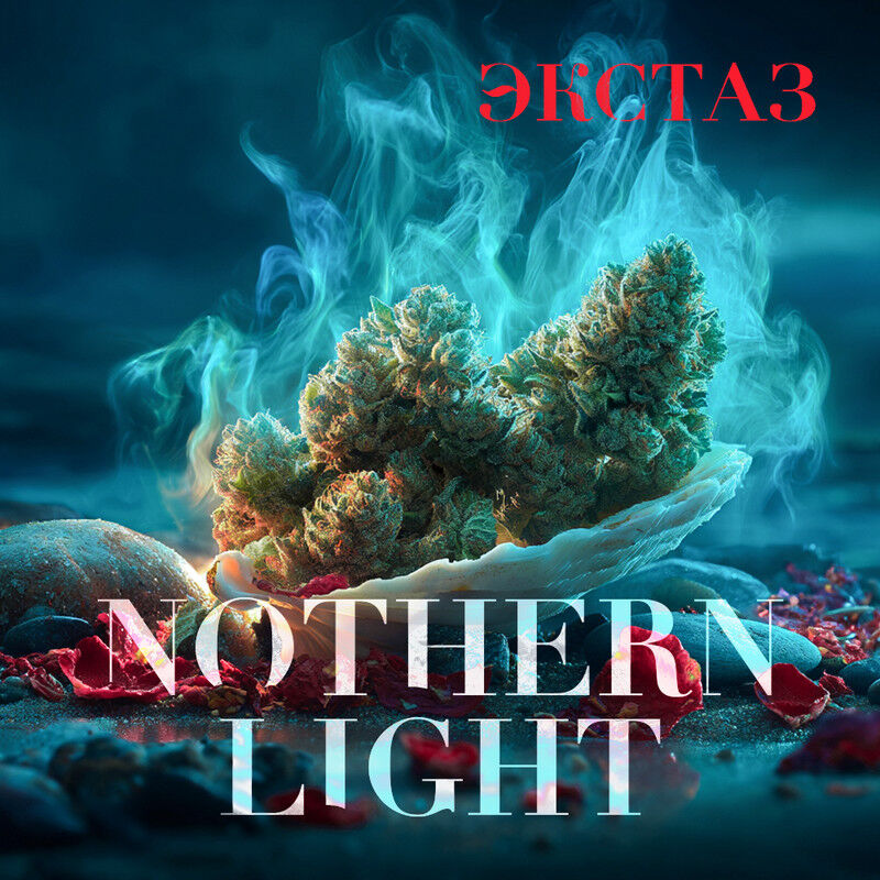 Бошка Northern Light
