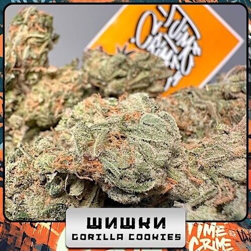 GORILLA COOKIES