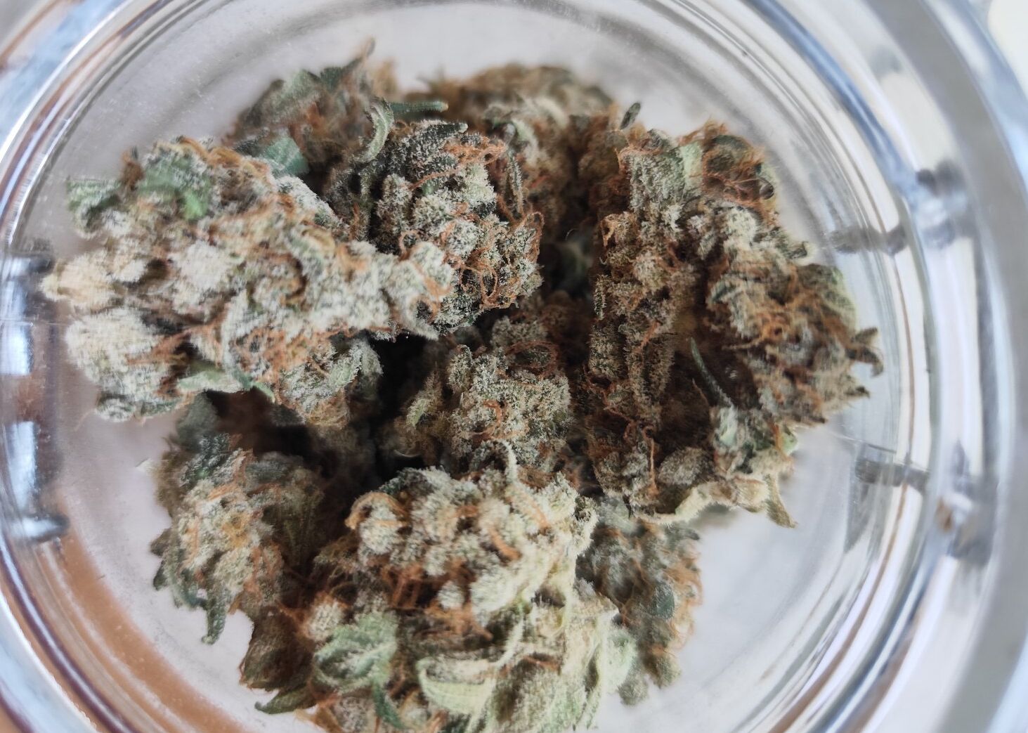White Widow (VHQ)