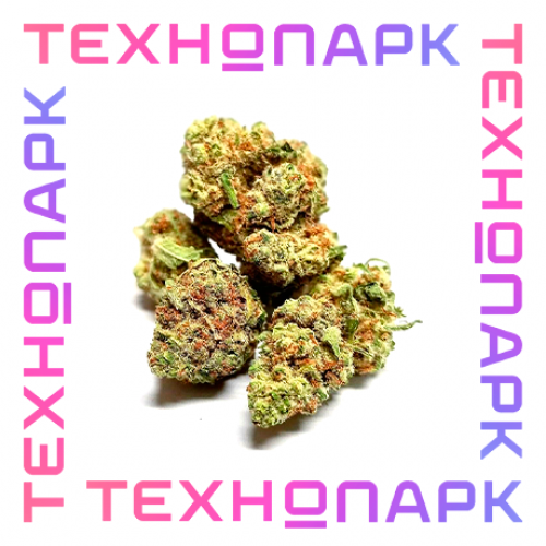 Шишки White Widow