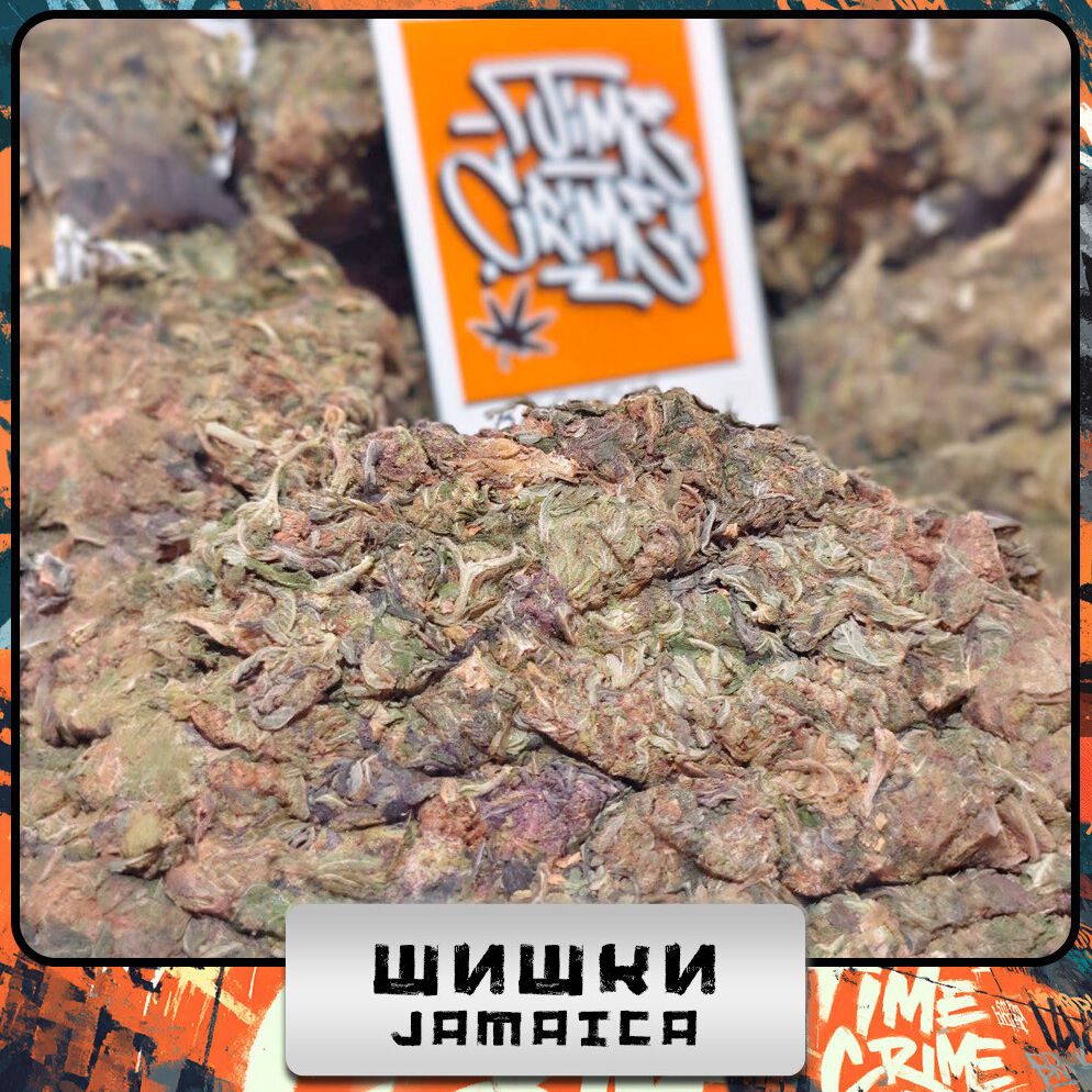 Шишки Jamaica