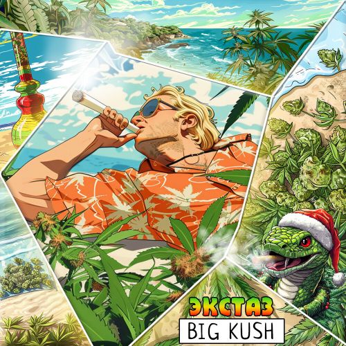 Бошка Big Kush