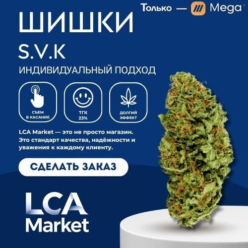 ШИШКА🔥КЛАД🔥ТГК-29%